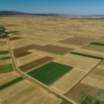 farmland developers in south texas